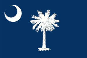 state-flag-of-south-carolina-725x483