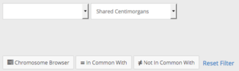 family-tree-dna-ftdna-family-finder-my-origins-review-search2