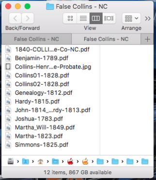 genealogy research redundancy false folders