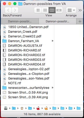 genealogy research redundancy documenting families 