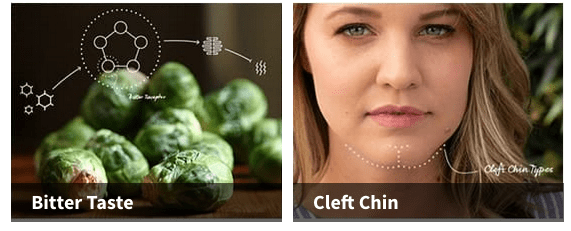 ancestry-dna-traits-deeper-look-dna5