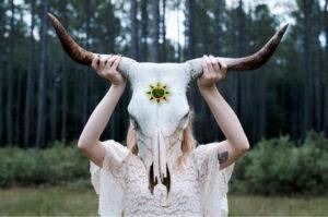 story-of-lithuanian-nation-from-pagans-to-kings-skull-690246_640