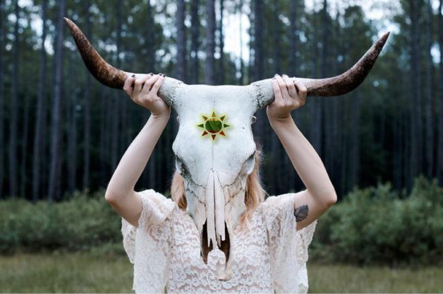 story-of-lithuanian-nation-from-pagans-to-kings-skull-690246_640