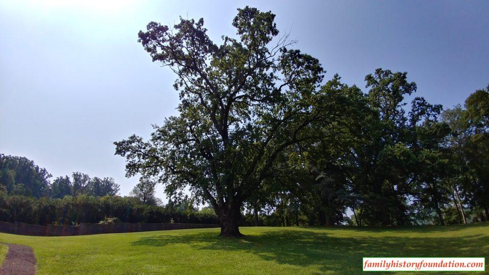 15-beautiful-photos-of-james-madisons-montpelier-home-13