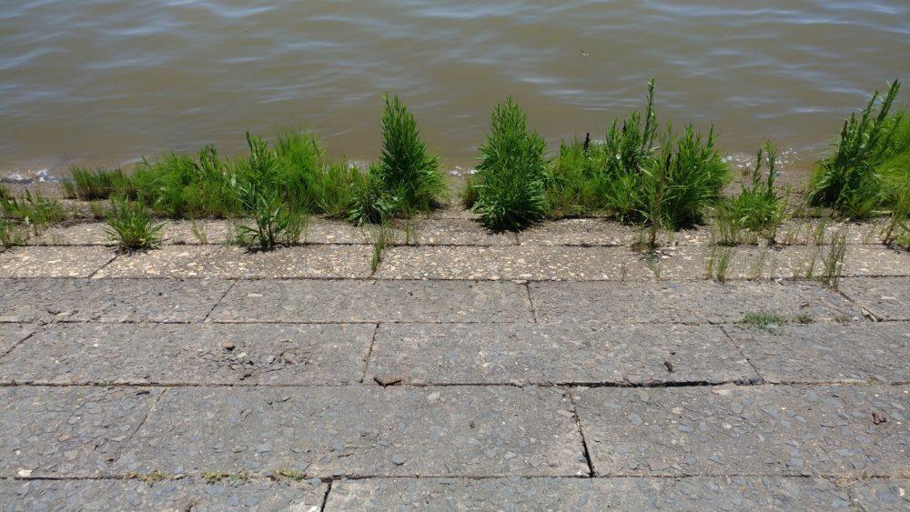 30-pictures-of-my-visit-to-jamestown-virginia-24