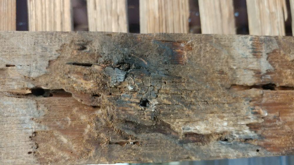 30-stunning-pictures-of-the-arjalon-price-house-in-virginia-06