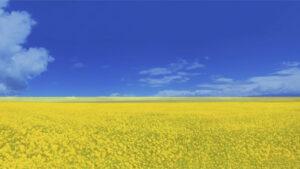 history-how-ukraine-has-inspired-me-flag-field