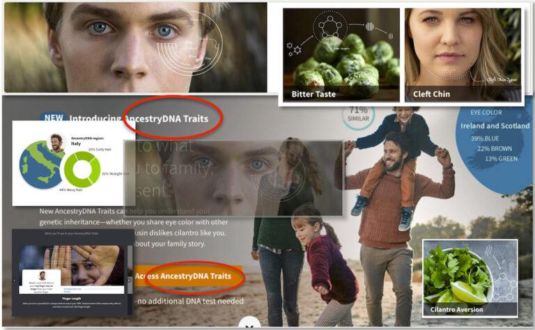 Ancestry DNA Traits: A Deeper Look At Genes 11 ancestry-dna-traits-deeper-look-genes-featured