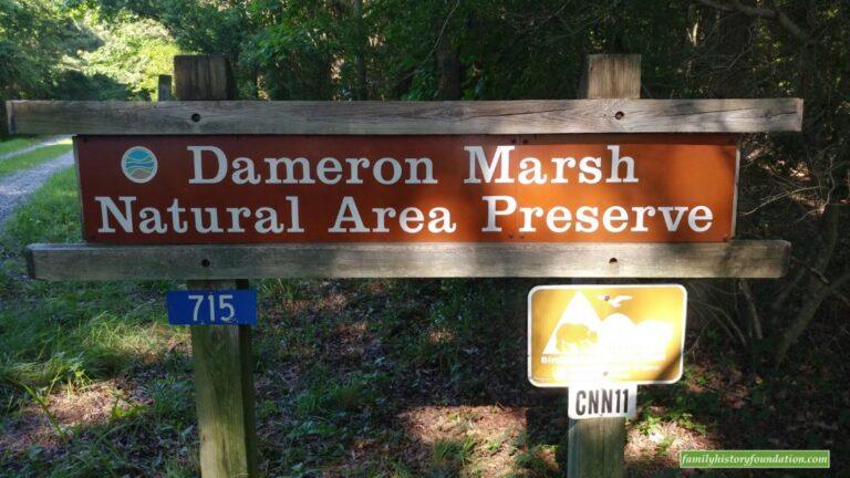 17 Photos of Historic Dameron Marsh in Virginia 2 17-photos-historic-dameron-marsh-in-virginia-featured