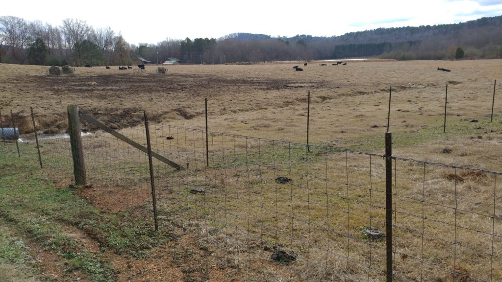 manasco-alabama-one-of-america's-oldest-ghost-towns-field1