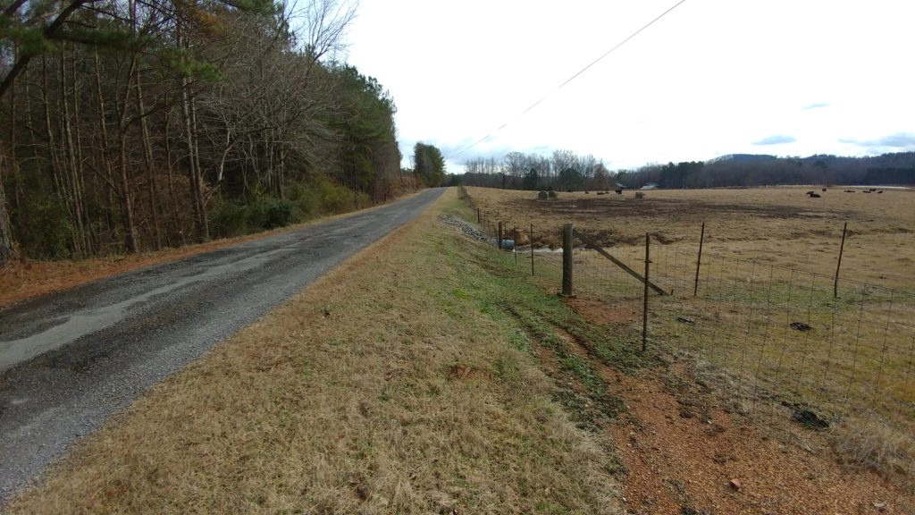 manasco-alabama-one-of-america's-oldest-ghost-towns-road1