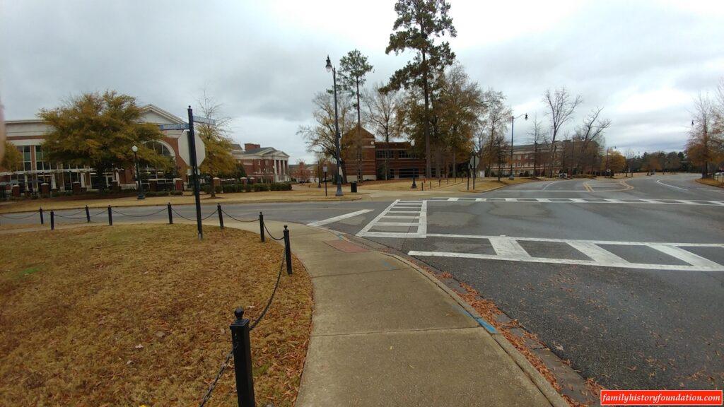 UA campus Margaret Dr. leaves