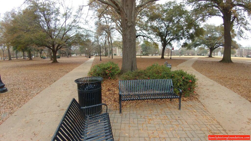 UA Quad park leaves and path