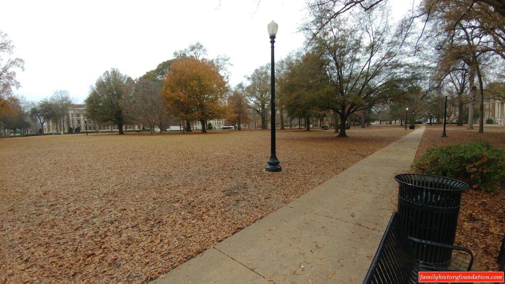 UA Quad park leaves and buildings