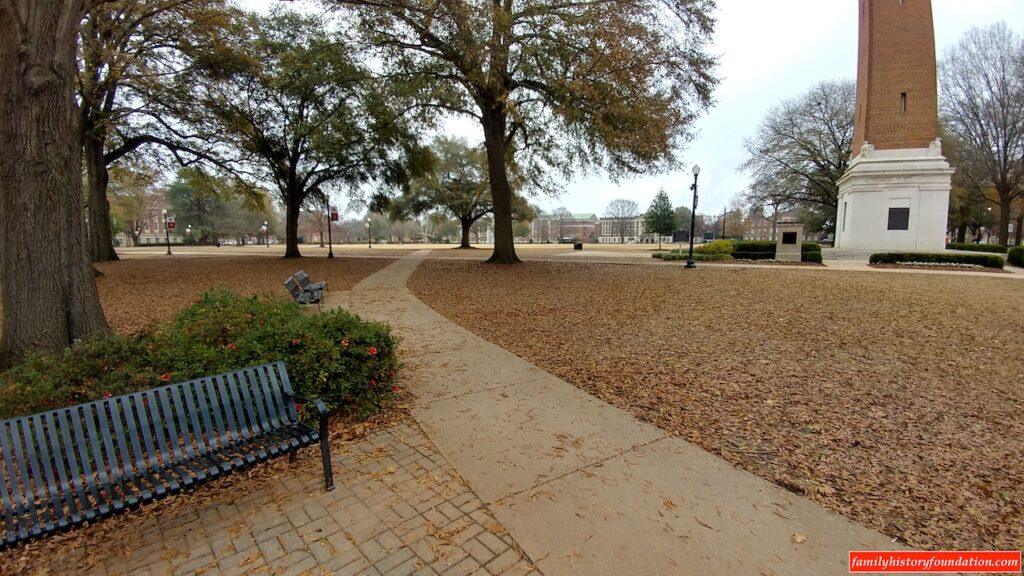 Chilly day on the UA quad