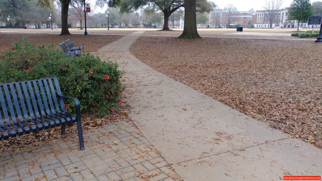 UA campus all to myself