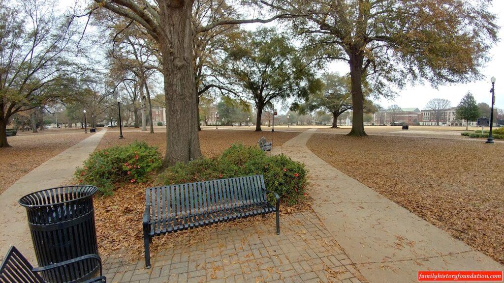 Beautiful architectural vista UA Quad