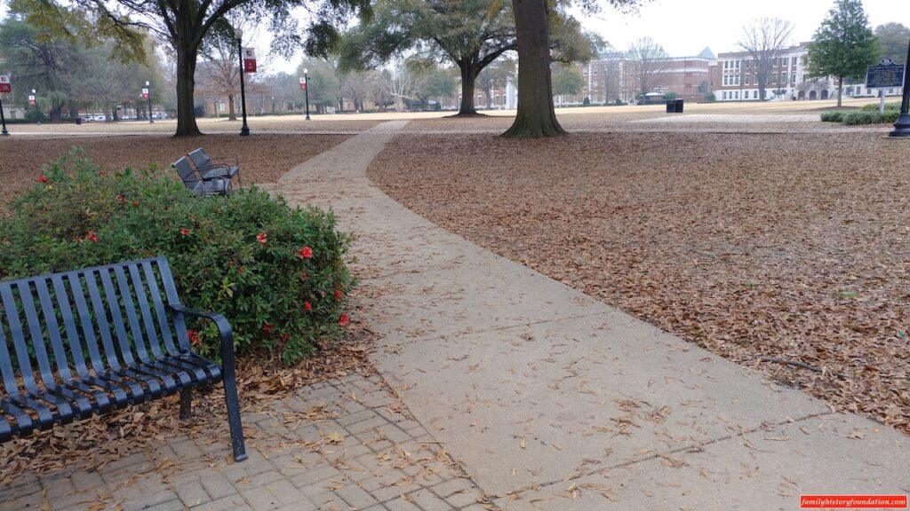 UA Quad park leaves and path