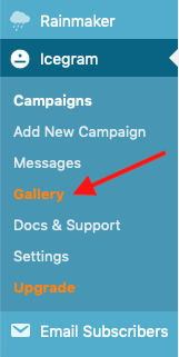 Icegram Gallery Option