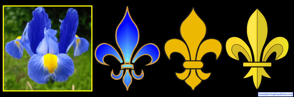 origin of the fleur-de-lis LILY