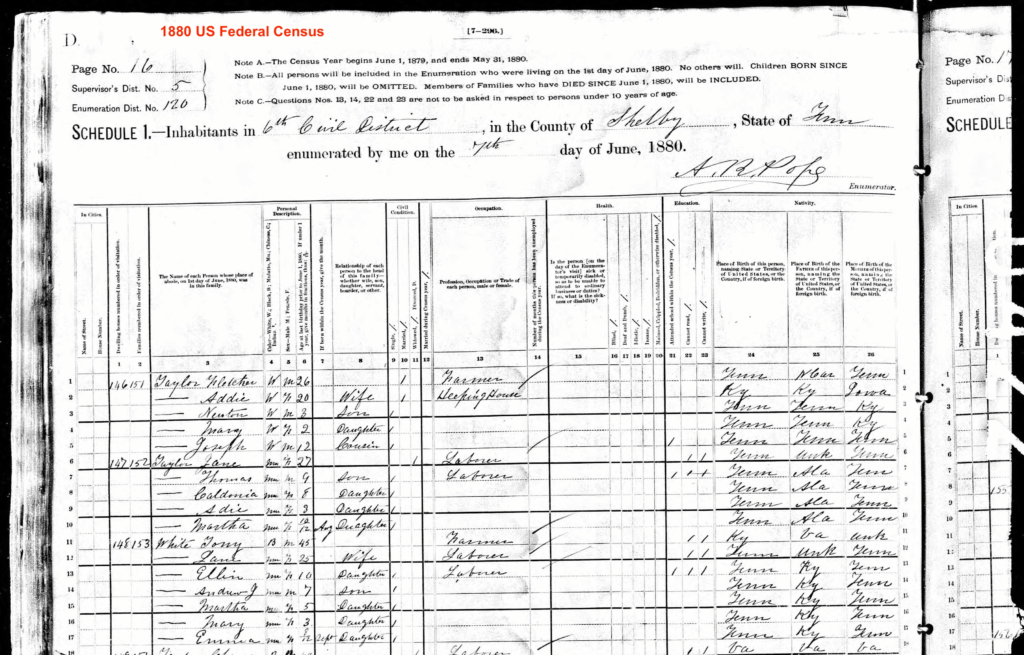 1880 US Federal Census form
