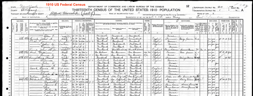 1910 US Federal Census form